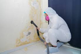 Best Mold Prevention Services  in Los Fresnos, TX